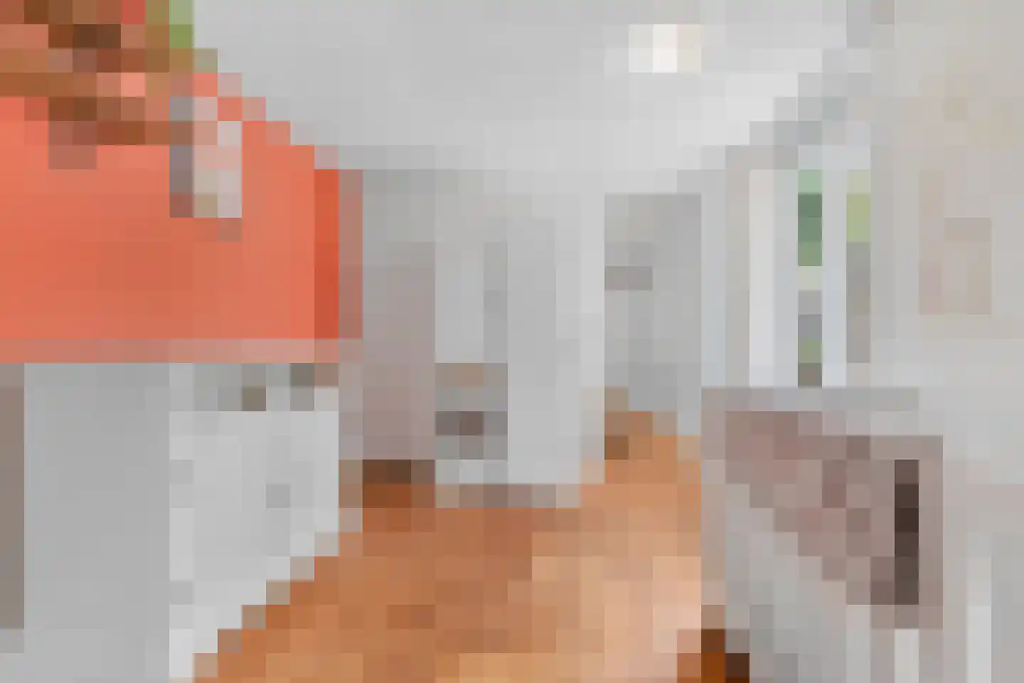 van Slichtenhorststraat 38 A Nijmegen thumbnail 23