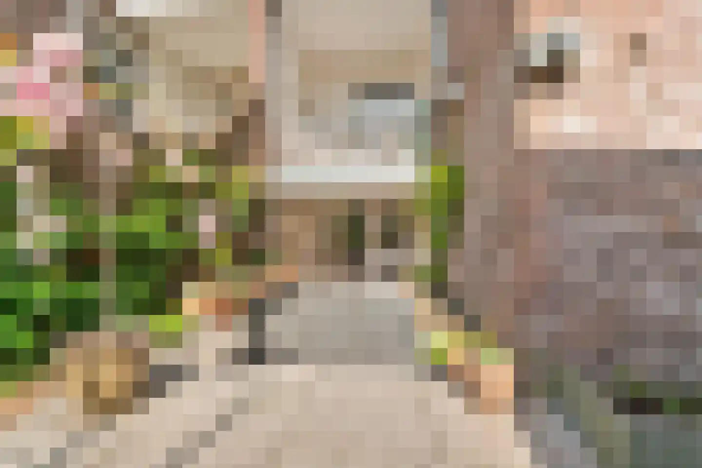 van Slichtenhorststraat 38 A Nijmegen thumbnail 29