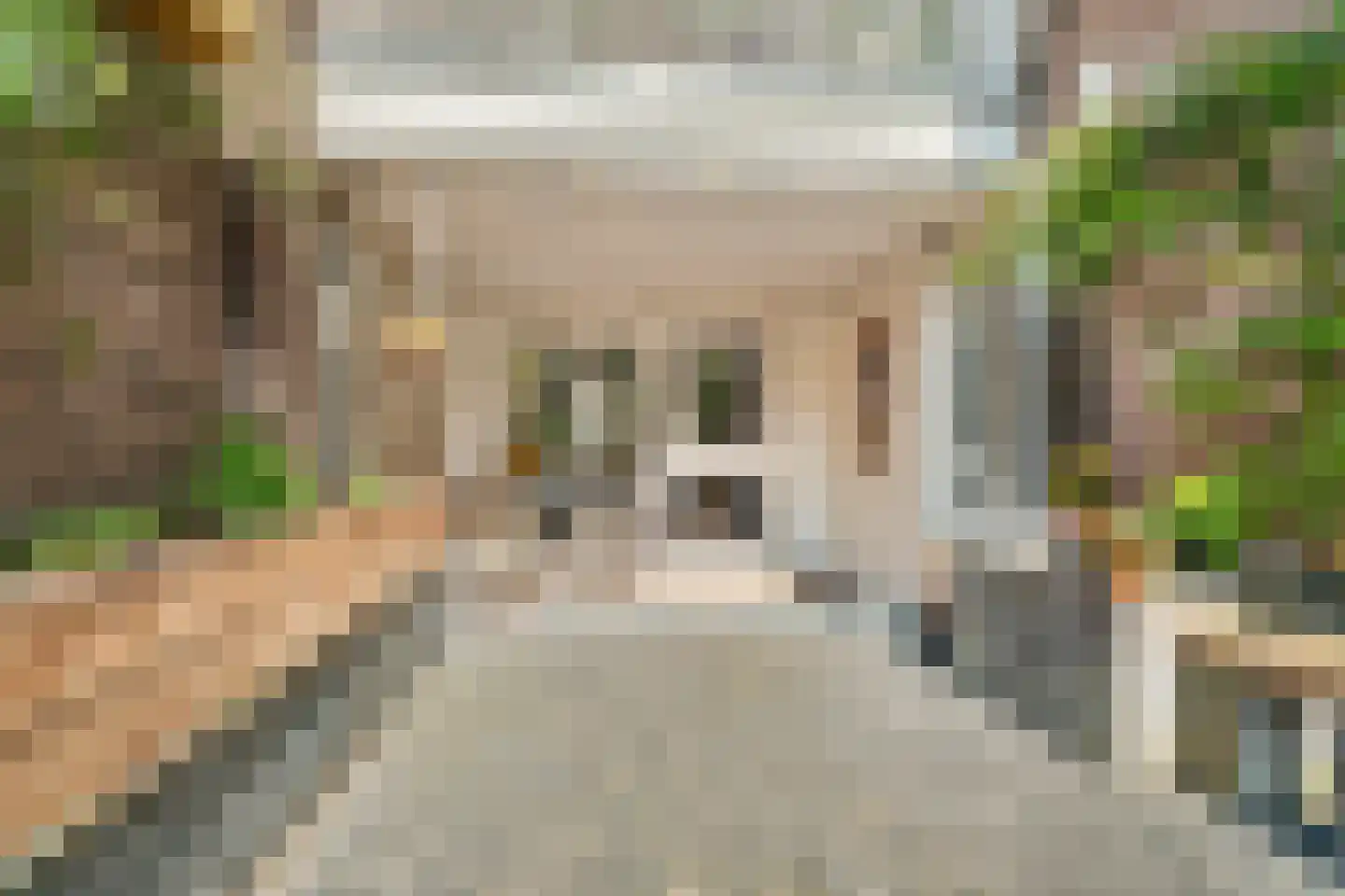 van Slichtenhorststraat 38 A Nijmegen thumbnail 30