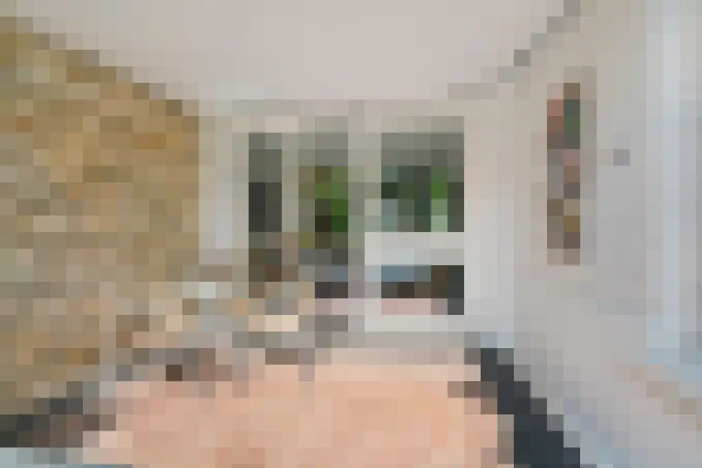 van Slichtenhorststraat 38 A Nijmegen thumbnail 31