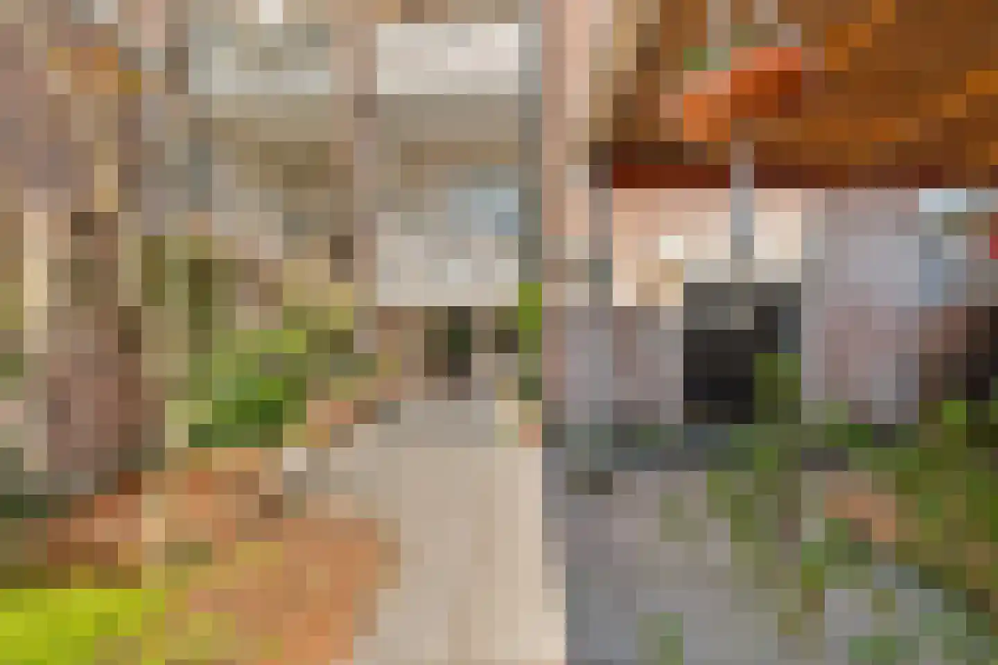 van Slichtenhorststraat 38 A Nijmegen thumbnail 33
