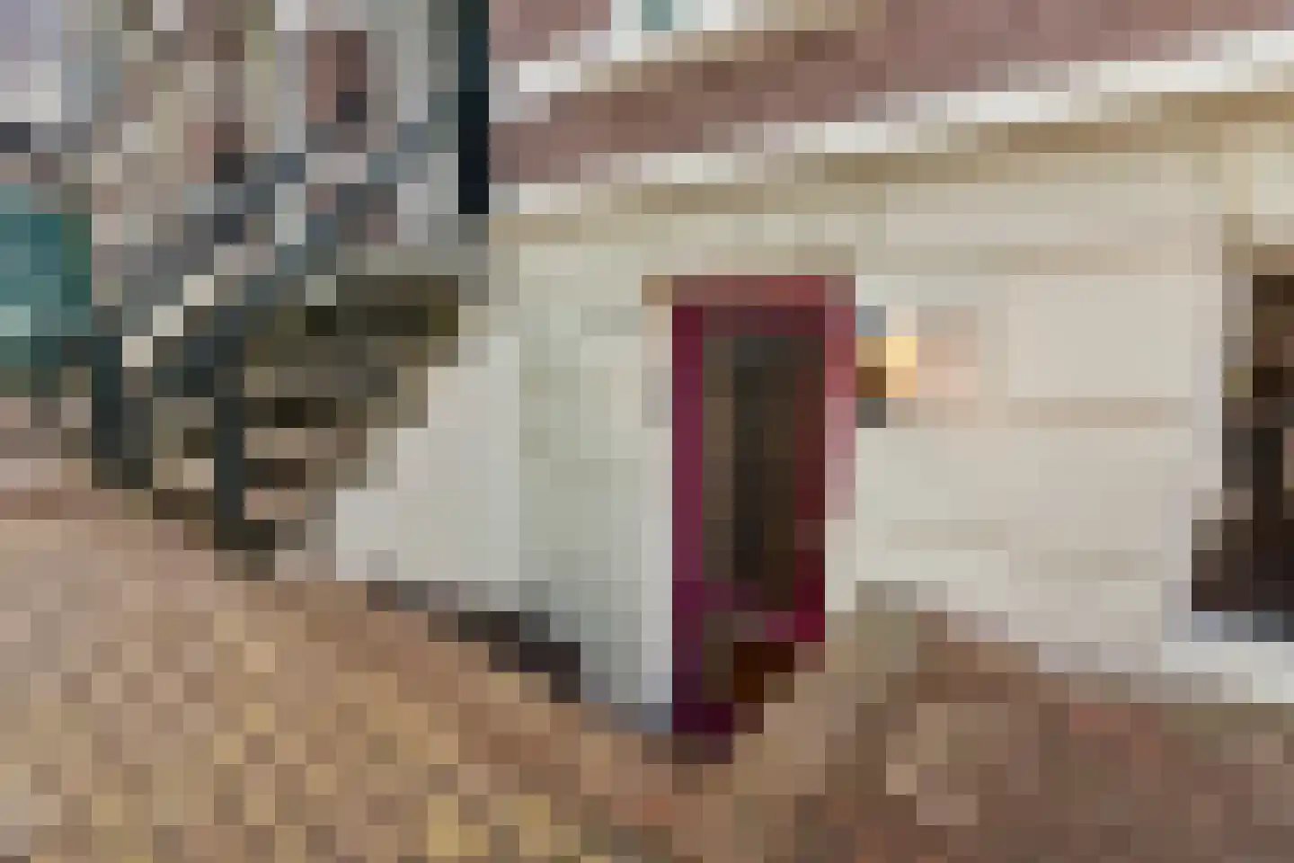 van Slichtenhorststraat 38 A Nijmegen thumbnail 41