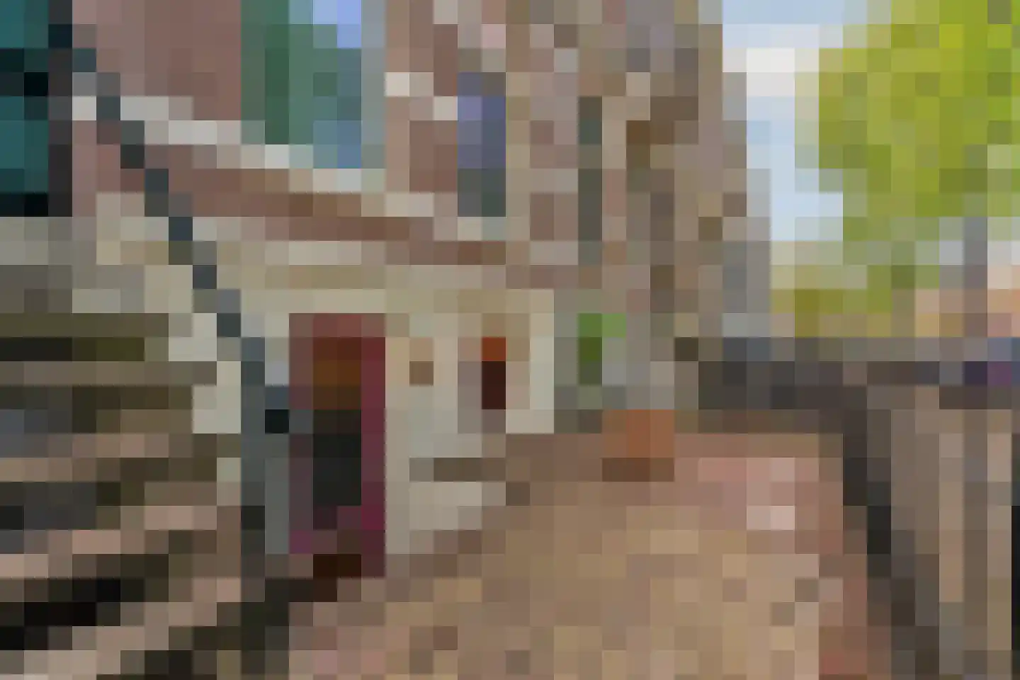 van Slichtenhorststraat 38 A Nijmegen thumbnail 6