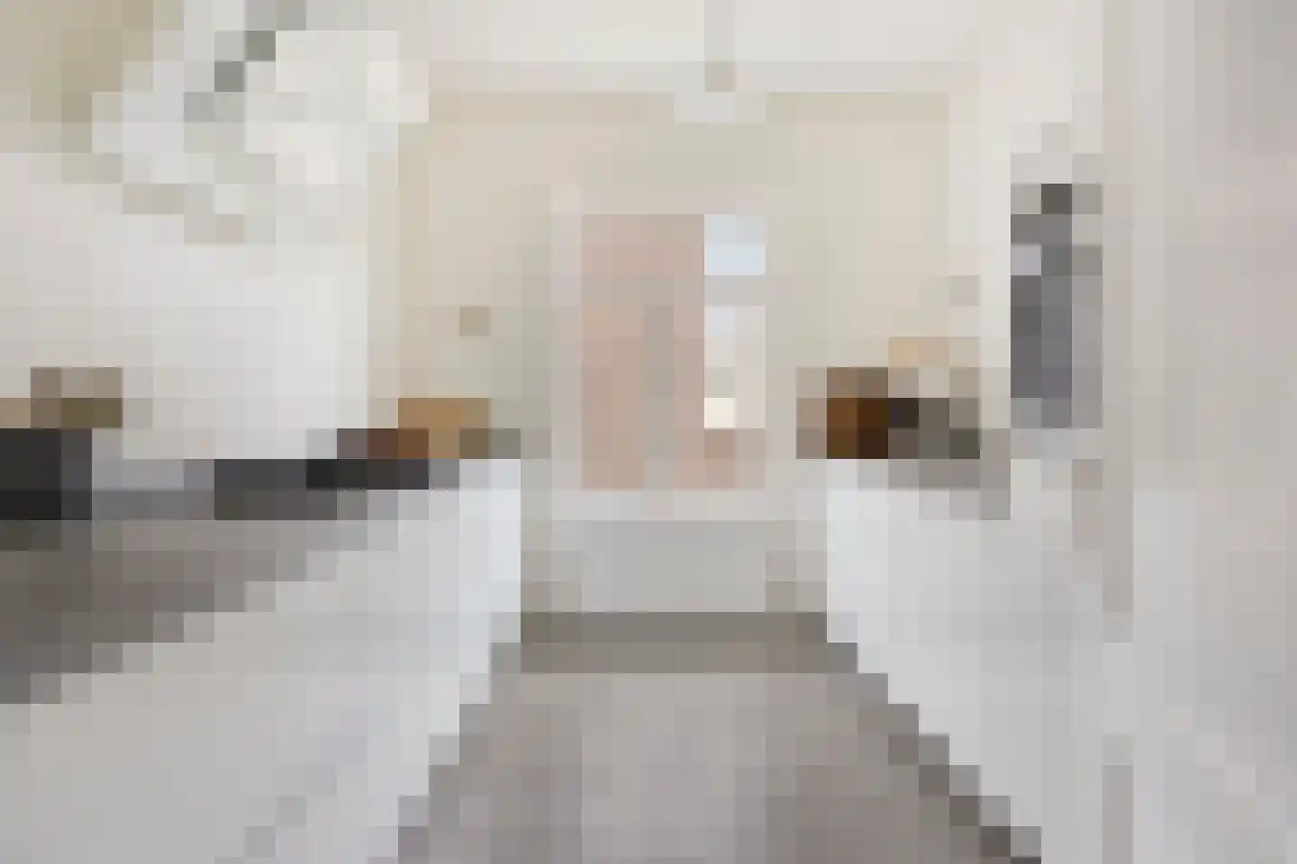 van Slichtenhorststraat 42 Nijmegen thumbnail 23
