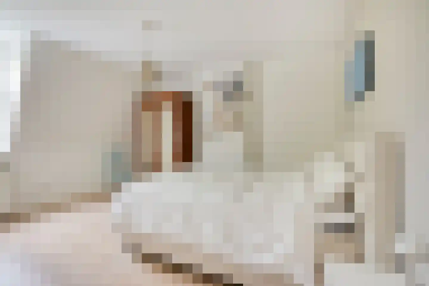 van Slichtenhorststraat 42 Nijmegen thumbnail 31