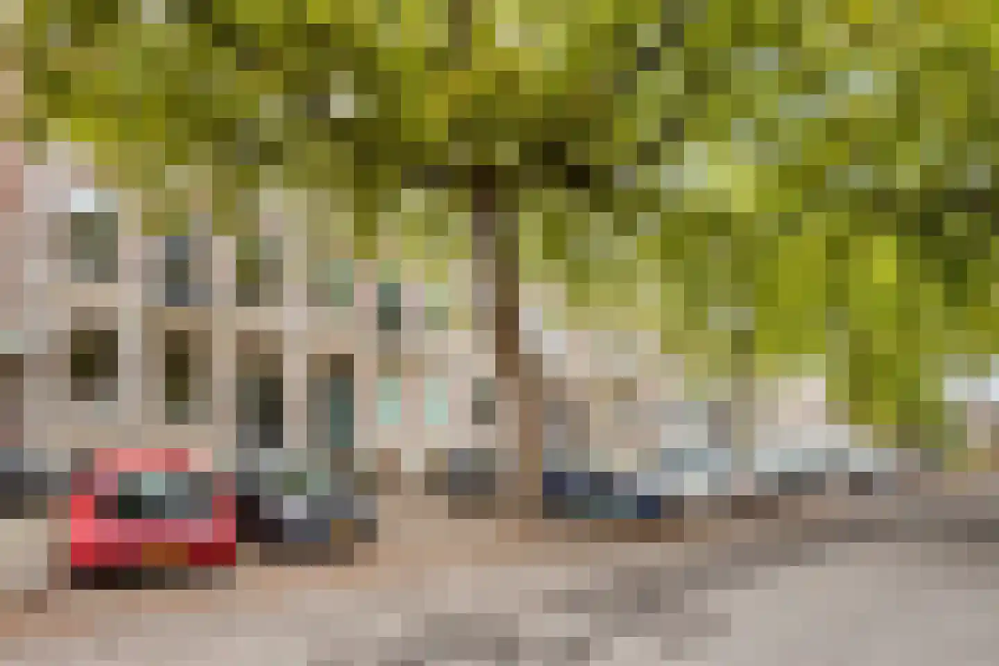 van Slichtenhorststraat 42 Nijmegen thumbnail 47