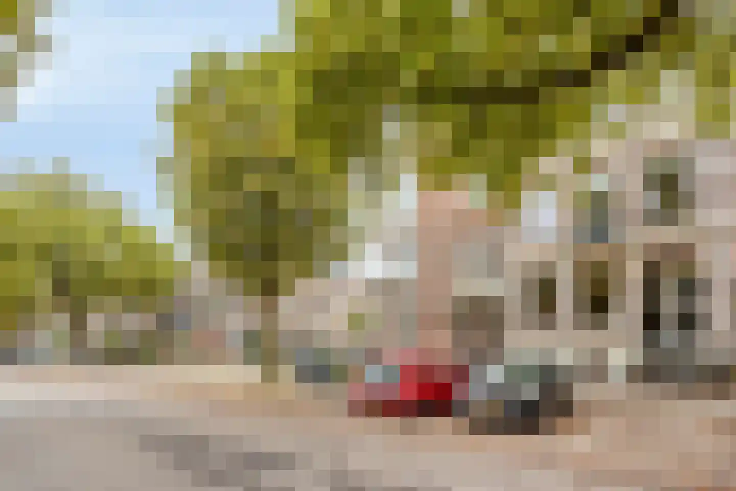 van Slichtenhorststraat 42 Nijmegen thumbnail 48