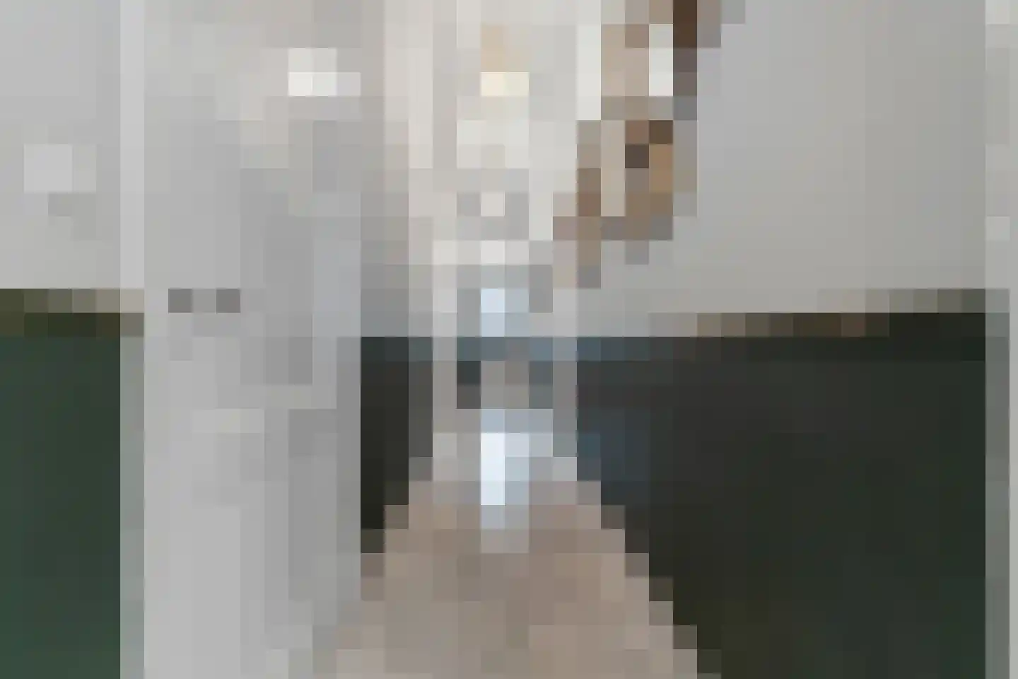van Slichtenhorststraat 44 Nijmegen thumbnail 23