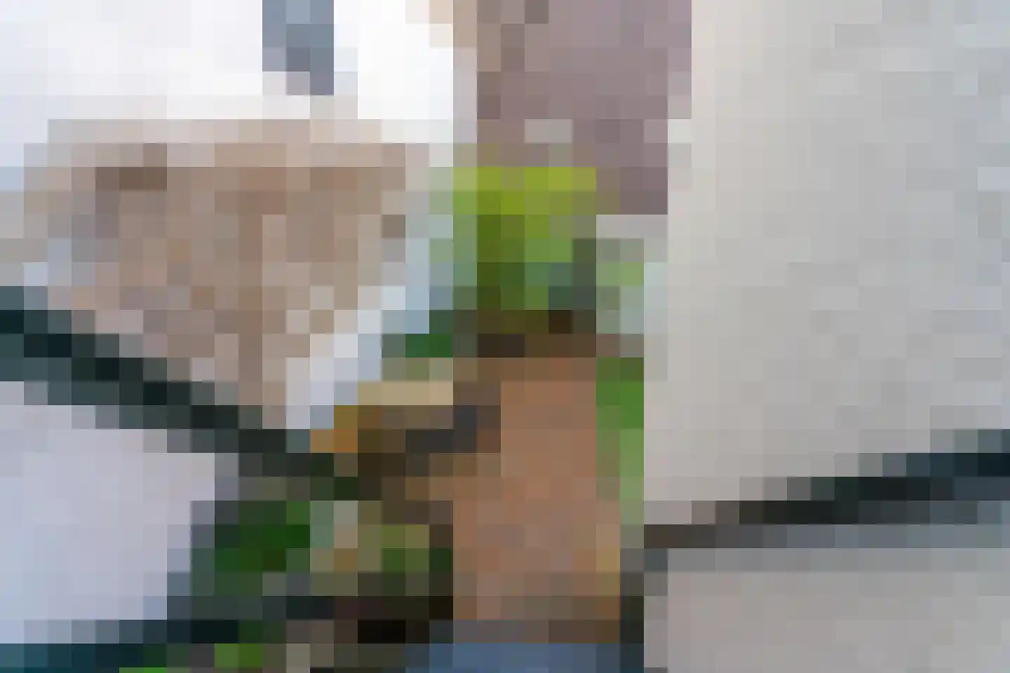 van Slichtenhorststraat 44 Nijmegen thumbnail 50