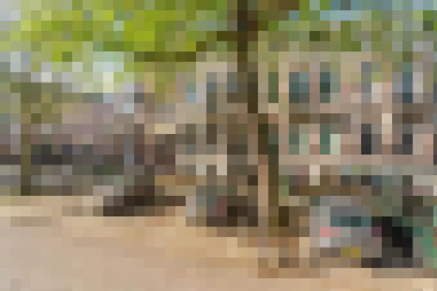 van Slichtenhorststraat 44 Nijmegen thumbnail 7