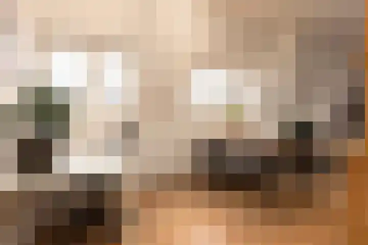 van Slichtenhorststraat 48 C Nijmegen thumbnail 13