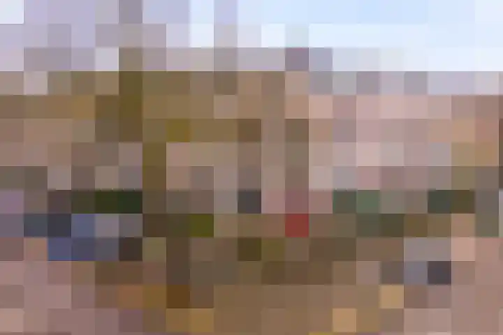 van Slichtenhorststraat 48 C Nijmegen thumbnail 7