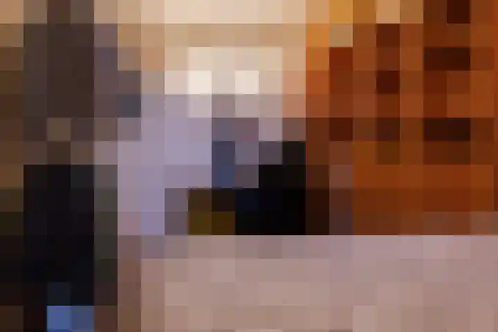 van Slichtenhorststraat 48 Nijmegen thumbnail 15