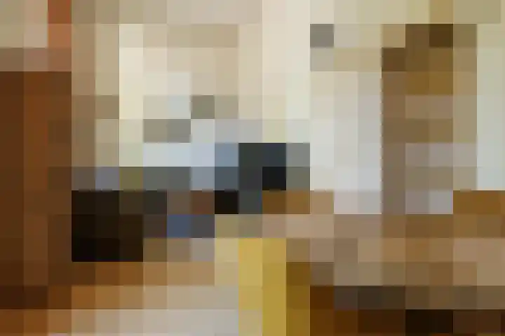 van Slichtenhorststraat 48 Nijmegen thumbnail 8