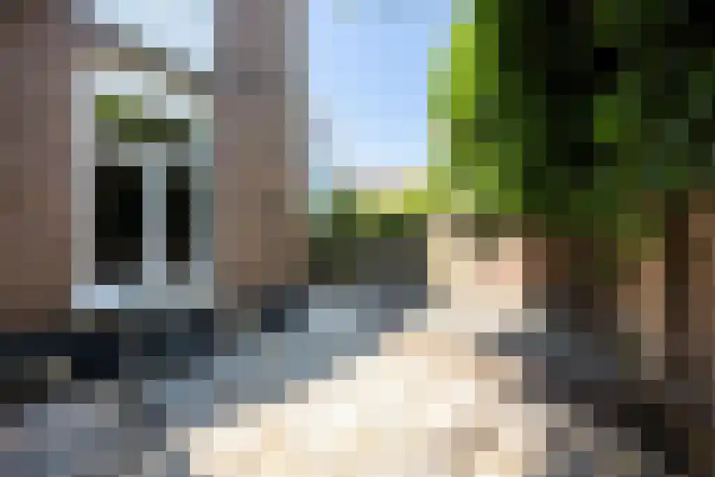van Slichtenhorststraat 51 Nijmegen thumbnail 15