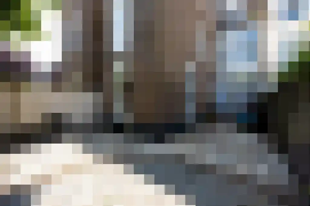 van Slichtenhorststraat 51 Nijmegen thumbnail 16