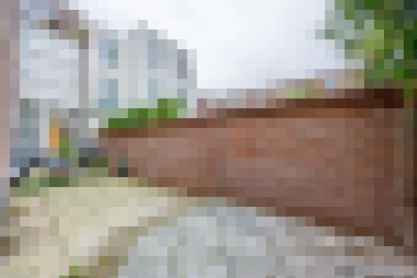van Slichtenhorststraat 51 Nijmegen thumbnail 17