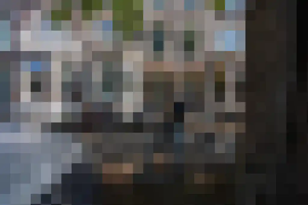 van Slichtenhorststraat 51 Nijmegen thumbnail 21