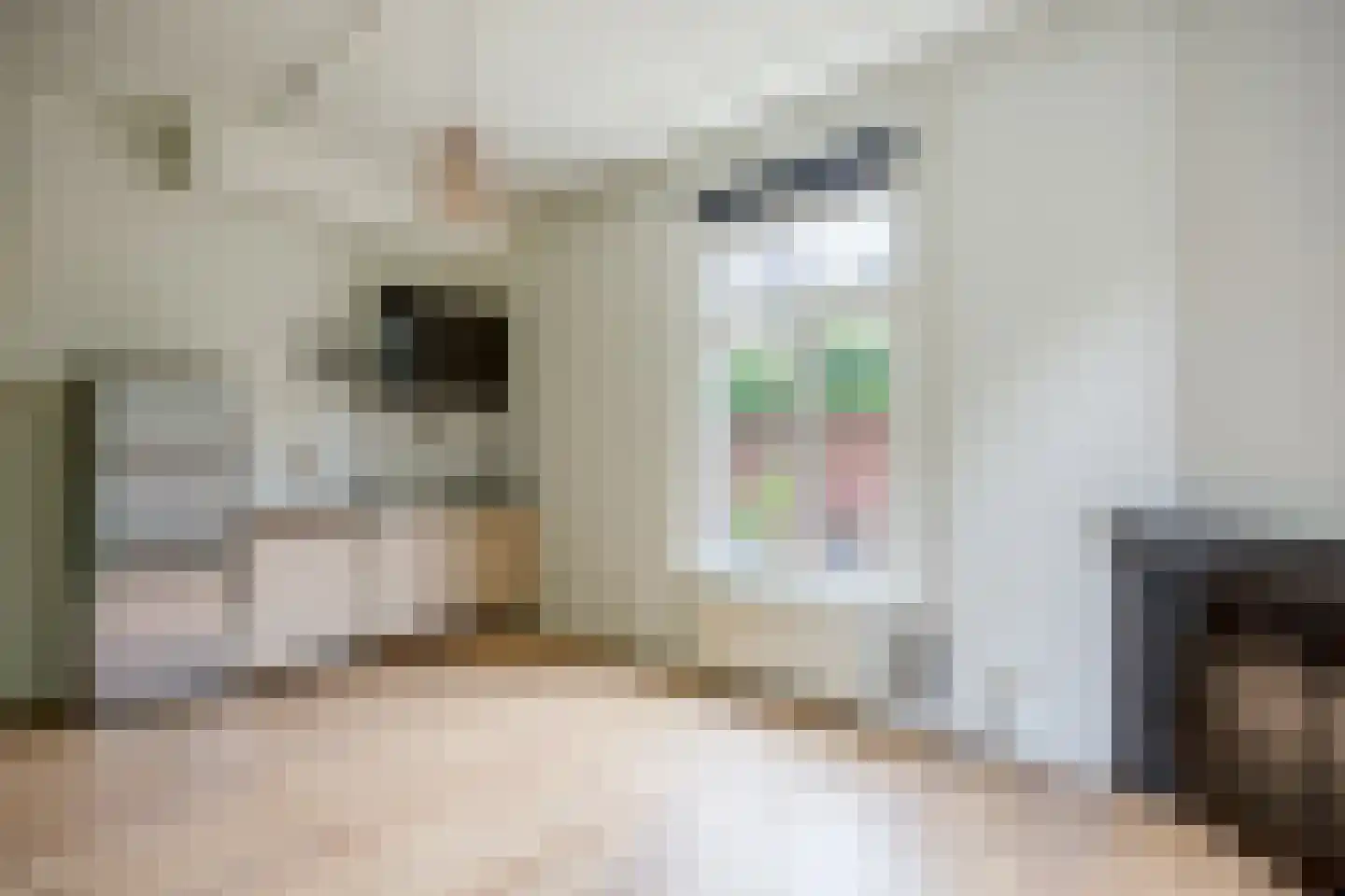 van Slichtenhorststraat 51 Nijmegen thumbnail 7