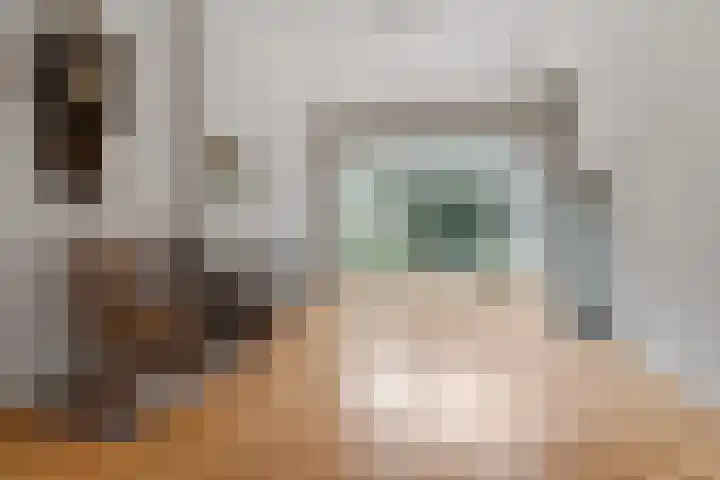 van Slichtenhorststraat 71 Nijmegen thumbnail 13