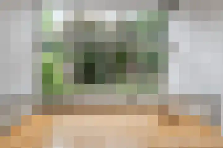 van Slichtenhorststraat 71 Nijmegen thumbnail 15