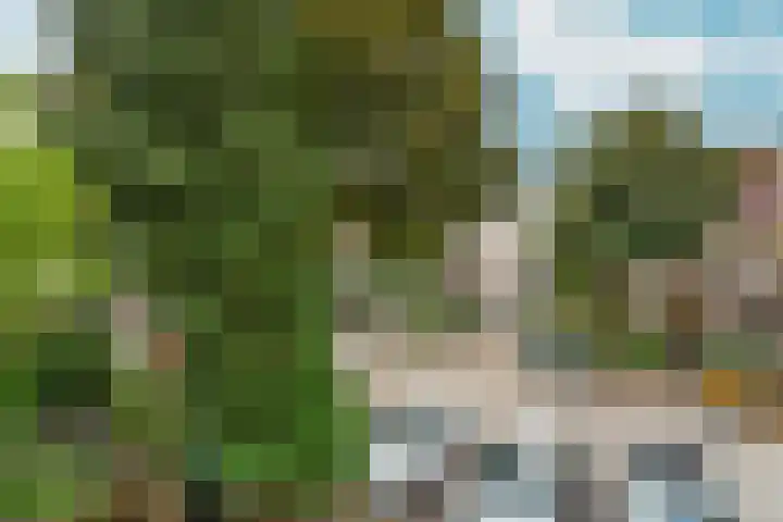 van Slichtenhorststraat 71 Nijmegen thumbnail 32