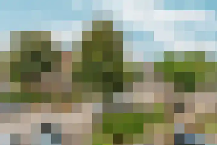 van Slichtenhorststraat 71 Nijmegen thumbnail 33