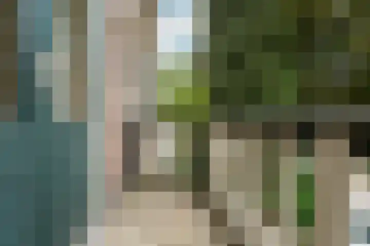 van Slichtenhorststraat 71 Nijmegen thumbnail 35