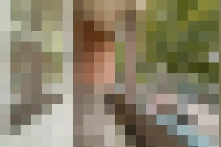 van Slichtenhorststraat 71 Nijmegen thumbnail 39