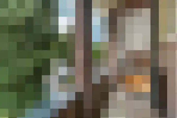 van Slichtenhorststraat 71 Nijmegen thumbnail 40