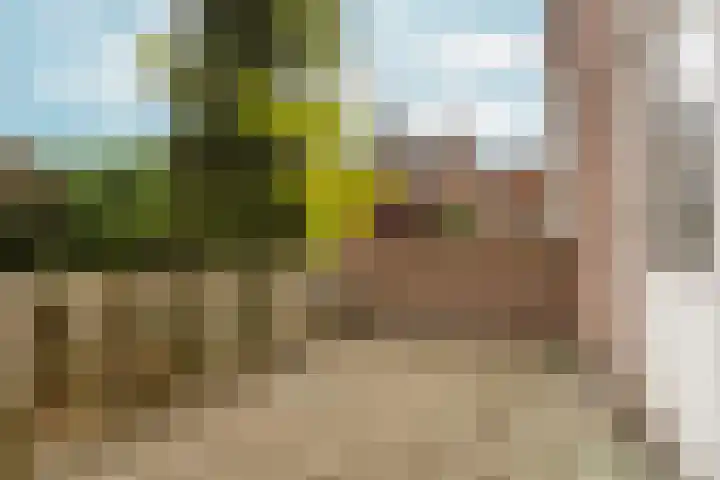 van Slichtenhorststraat 71 Nijmegen thumbnail 47