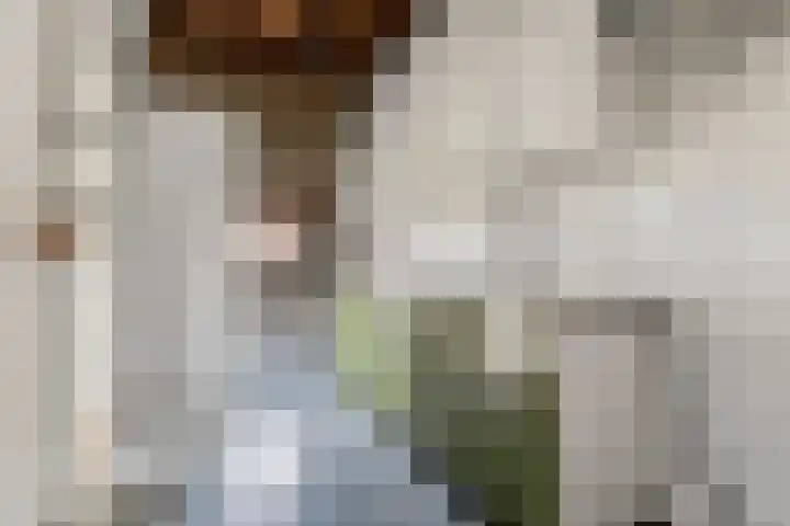 van Slichtenhorststraat 71 Nijmegen thumbnail 54