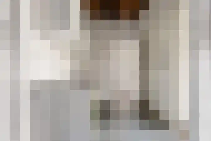 van Slichtenhorststraat 71 Nijmegen thumbnail 56