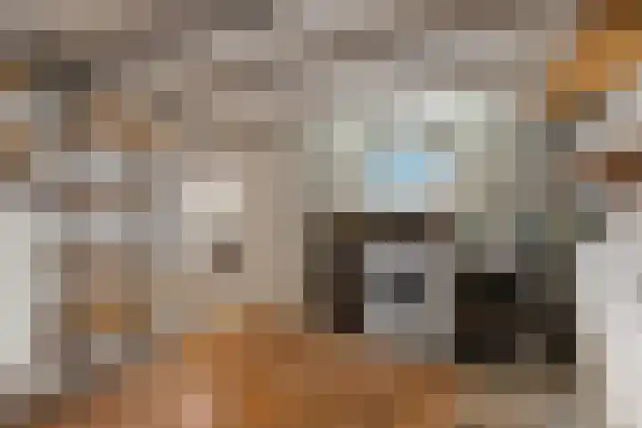van Slichtenhorststraat 71 Nijmegen thumbnail 67