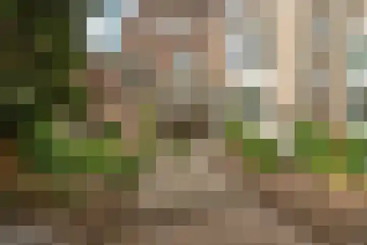 van Slichtenhorststraat 71 Nijmegen thumbnail 71