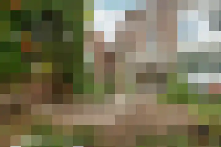 van Slichtenhorststraat 71 Nijmegen thumbnail 72