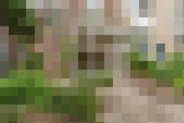 van Slichtenhorststraat 71 Nijmegen thumbnail 73