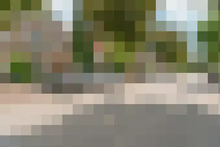 van Slichtenhorststraat 71 Nijmegen thumbnail 77
