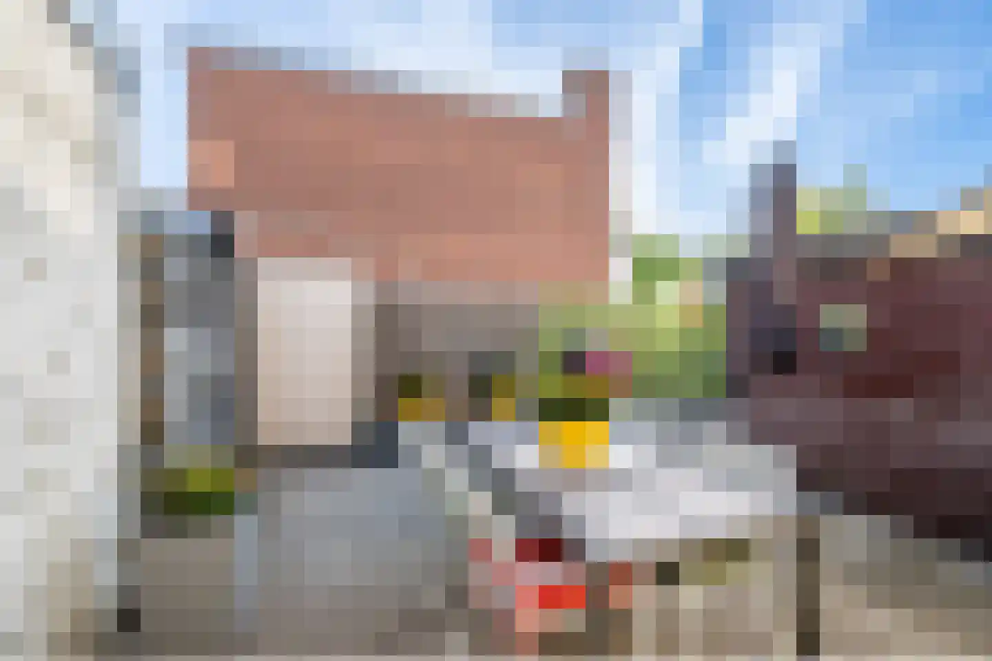 van Slijpestraat 30 Maastricht thumbnail 20