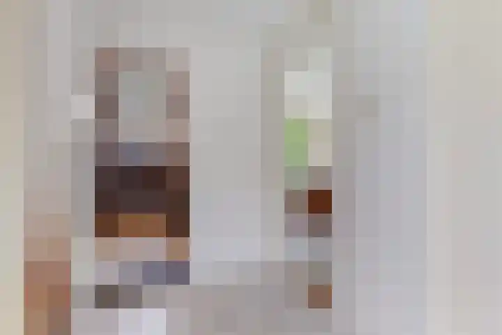 Van Slingelandt-lanen 141 Woerden thumbnail 14