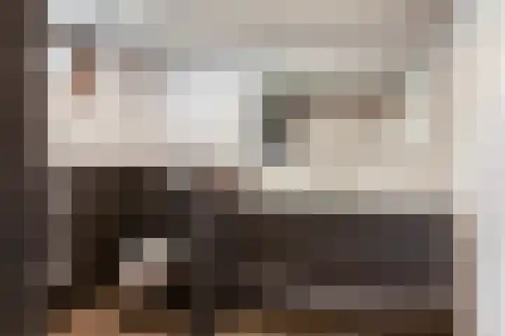Van Slingelandt-lanen 141 Woerden thumbnail 19