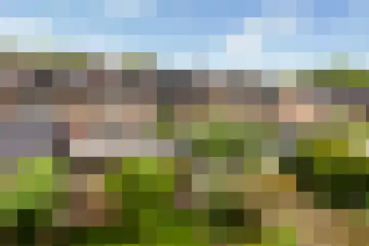 Van Slingelandt-lanen 141 Woerden thumbnail 25
