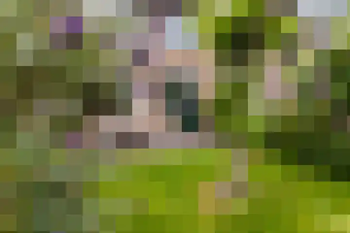 Van Slingelandt-lanen 141 Woerden thumbnail 31