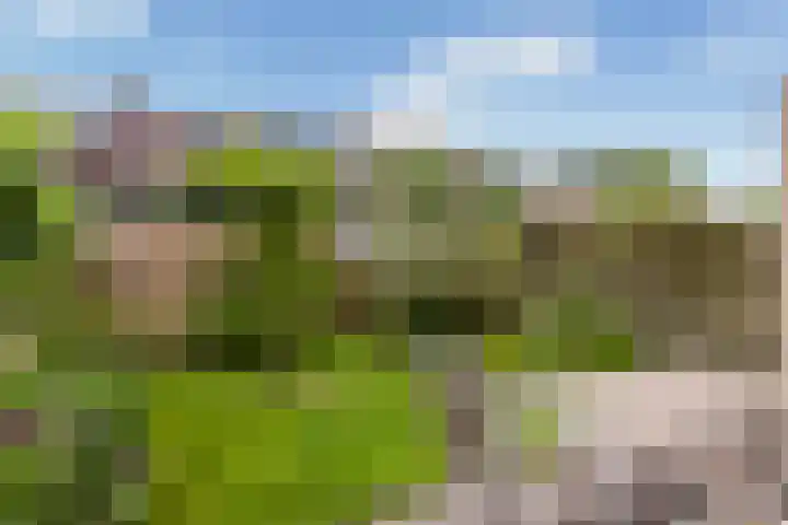 Van Slingelandt-lanen 141 Woerden thumbnail 32