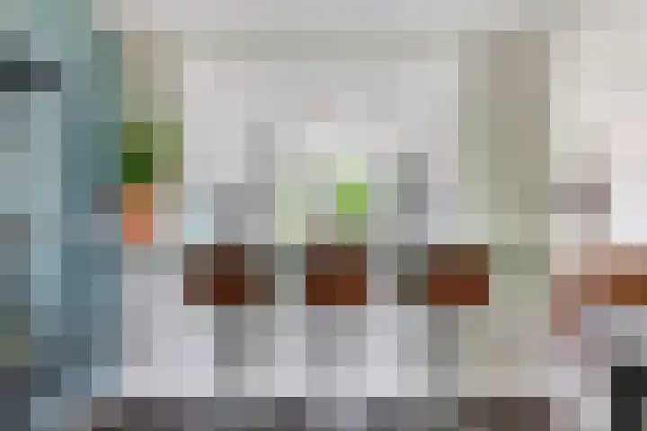 Van Slingelandt-lanen 141 Woerden thumbnail 7