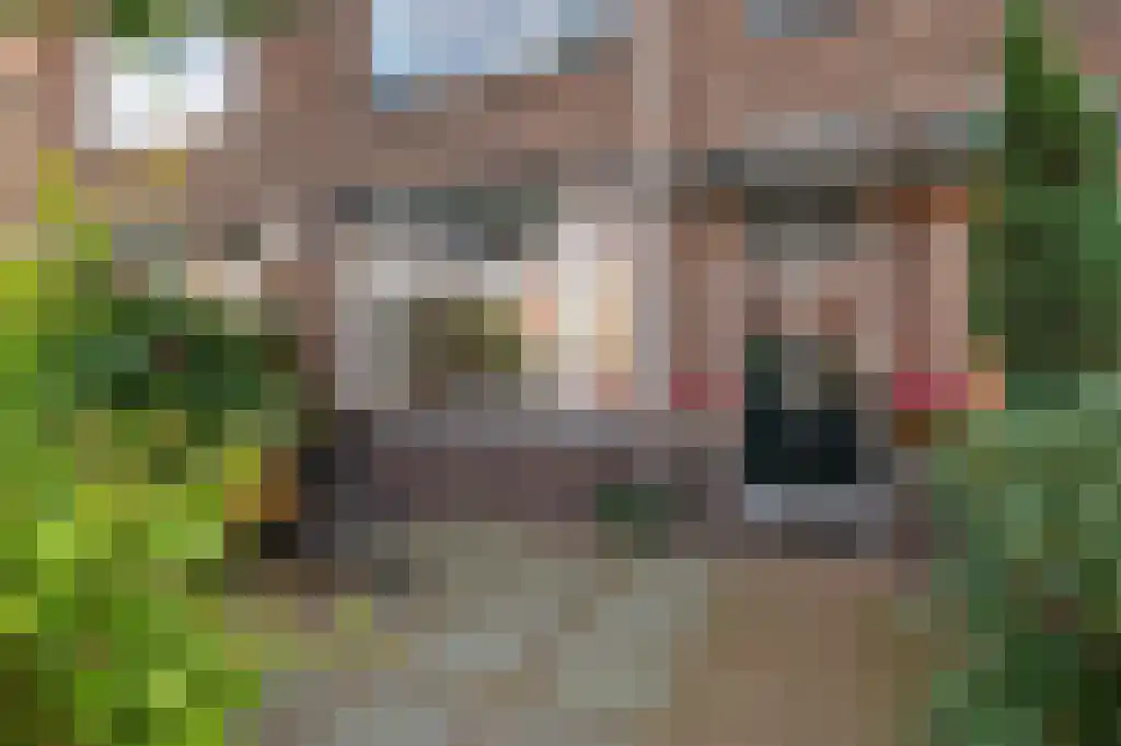 Van Slingelandtlaan 11 Rotterdam thumbnail 4