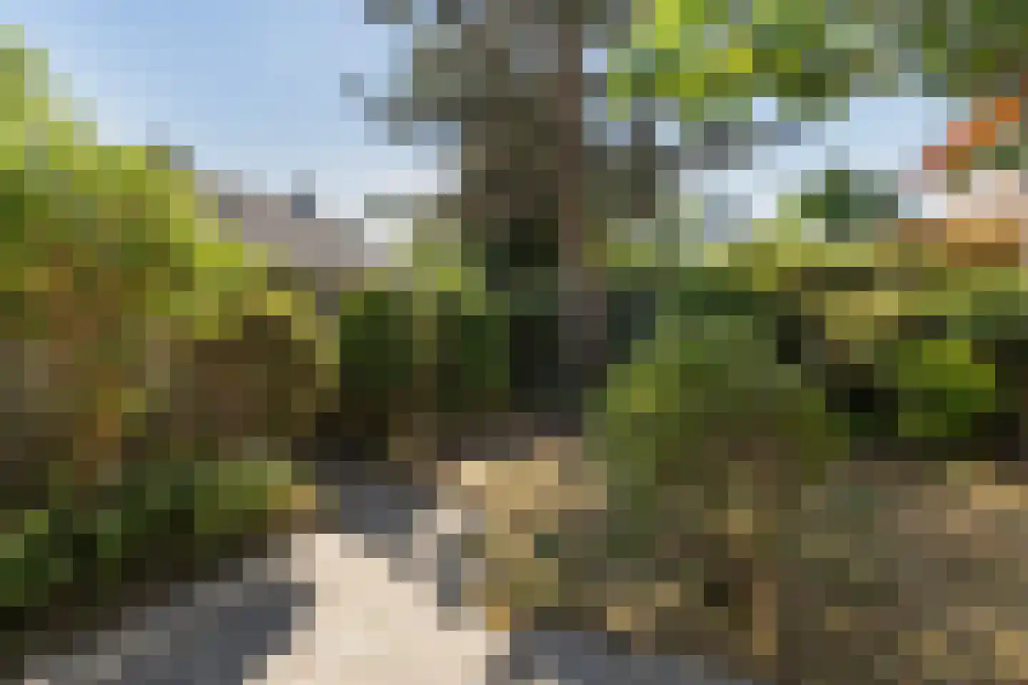 van Slingelandtlaan 15 Zwijndrecht thumbnail 30