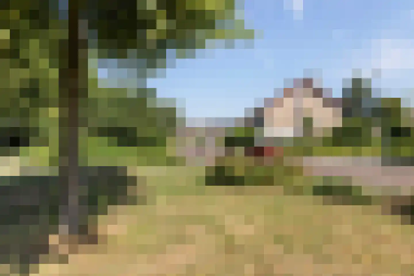 van Slingelandtlaan 15 Zwijndrecht thumbnail 34