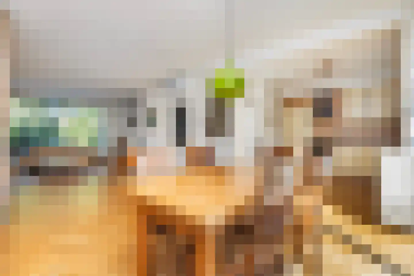 van Slingelandtlaan 15 Zwijndrecht thumbnail 8