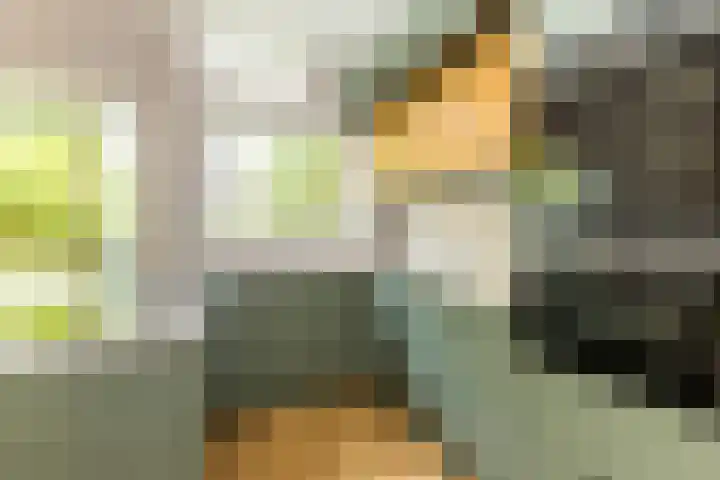 Van Slingelandtlaan 30 Rotterdam thumbnail 12